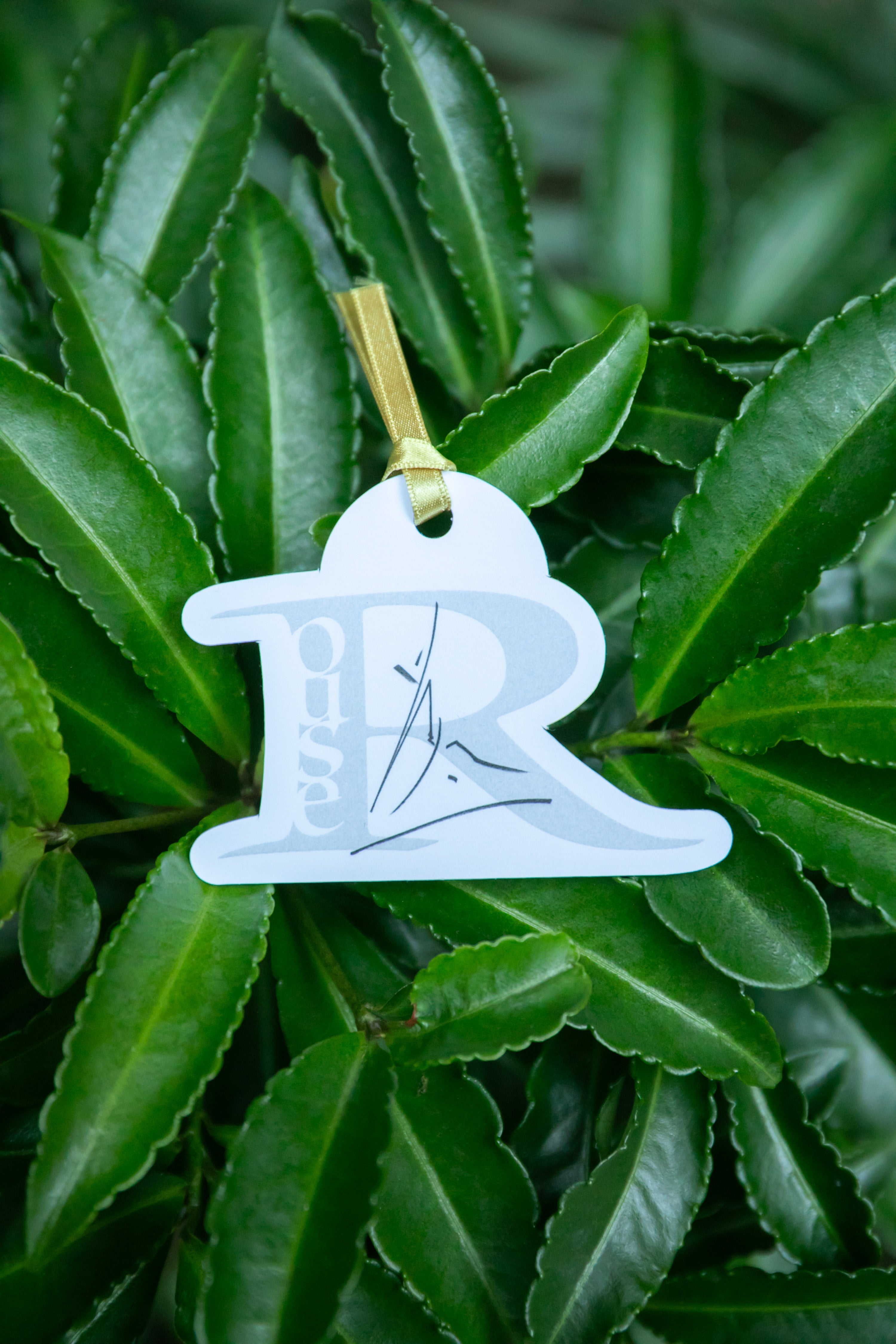 Rouse オードパルファン25mLスプレー 早乙女太一 Rouse オードパルファン set （10mLロールオン+25mLスプレー） – SAOTOMADE